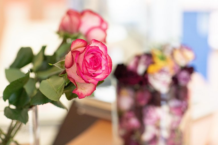 Links ragen pinke Rosen ins Bild. Im verschwommenen Hintergrund steht ein großes Glas voller getrockneter Rosenköpfe. 